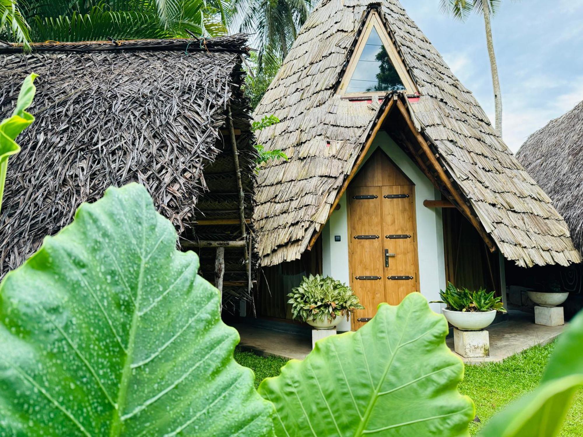 Turtle Wood Cabin Tangalle Exterior foto