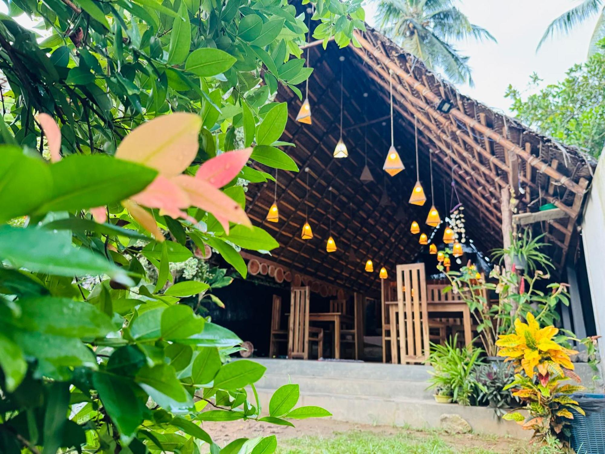 Turtle Wood Cabin Tangalle Exterior foto