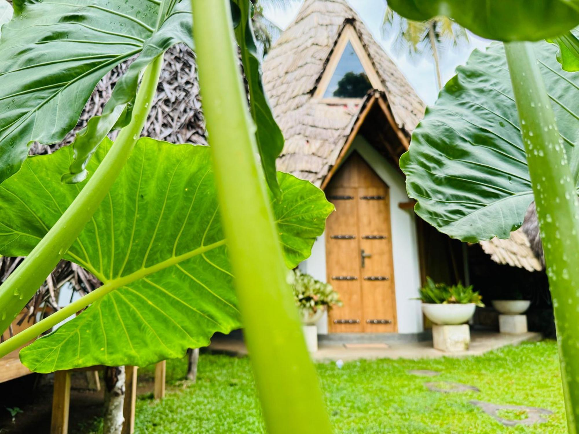 Turtle Wood Cabin Tangalle Exterior foto