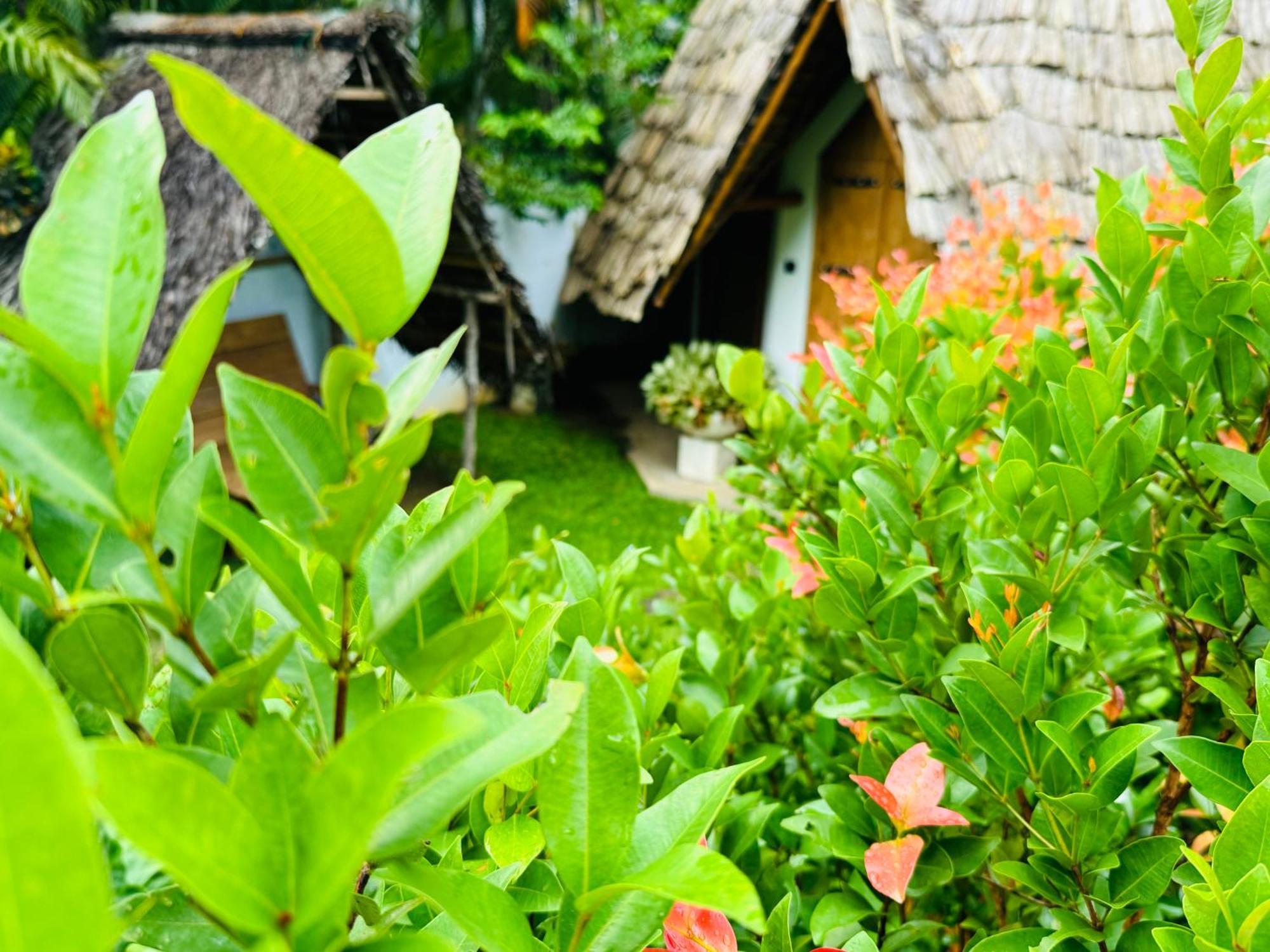 Turtle Wood Cabin Tangalle Exterior foto